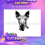 Free Chihuahua Outline Free Big Ear Dog Art Free SVG - Instant Download
