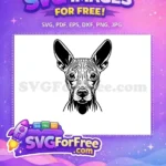Free Xoloitzcuintli Dog Head Free Detailed Line Art Pet Breed Vector Free SVG - Instant Download