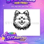 Free Smiling Pomeranian Free Fluffy Outline Dog Heads Vector Free SVG - Instant Download