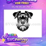 Free Black Schnauzer Dog Free Detailed Head Outline Dog Heads Vector Free SVG - Instant Download