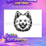 Free Happy Fluffy Free Pomeranian Face Vector Design Free SVG - Instant Download