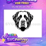 Free Cute Puppy Faces Free Dog Heads Vector Free SVG 2 - Instant Download
