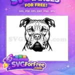 Free Muscular Pitbull Face Free Monochrome Vector Dog Heads Free SVG - Instant Download
