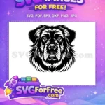 Free Shaggy Black White Free Detailed Furry Newfoundland Free SVG - Instant Download
