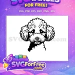 Free Curly Poodle Dog Head Free Black Silhouette Animal Lover Free SVG - Instant Download