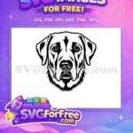 Free Loyal Dog Free Black Outline Head Vector Free SVG - Instant Download
