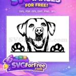 Free Happy Labrador Free Peeking Paws Dog Lovers Free SVG - Instant Download
