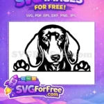 Free Cute Black White Free Dachshund Puppy Peeking Dog Lovers Free SVG - Instant Download