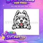 Free Gray Husky Free Happy Peeker Dog Vector Free SVG - Instant Download