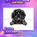 Free Fluffy Black Free Pink Tongue Peeker Dog Free SVG - Instant Download