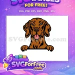Free brown happy dog Free peeker vector Dog Peeker Free SVG - Instant Download