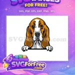 Free Sad Basset Free Brown White Peeker Dog Vector Free SVG - Instant Download