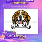 Free Happy Brown White Beagle Free Smiling Peeker Dog Vector Free SVG - Instant Download