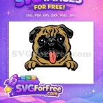 Free Happy Pug Free Tan Peeker Dog Vector Free SVG - Instant Download