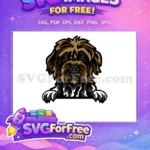 Free Brown Haired Free Orange Eyed Dog Peeker Free SVG - Instant Download