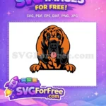 Free Orange Bloodhound Puppy Free Tongue Out Dog Peeker Free SVG - Instant Download