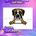 Free Boxer Dog Peek Free Cute Pet Portrait Free SVG - Instant Download