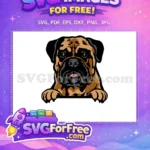 Free Bullmastiff Dog Face Free Peeking Vector Portrait Free SVG - Instant Download