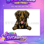 Free Brown Labrador Peeking Free Tongue Out Dog Free SVG - Instant Download