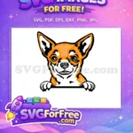 Free Orange Chihuahua Smile Free Dog Peeker Vector Free SVG - Instant Download