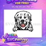 Free Brown Eyes Free Tongue Out Dog Peeker Free SVG - Instant Download