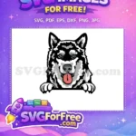 Free Husky Dog Blue Eyes Free Tongue Out Peeker Free SVG - Instant Download