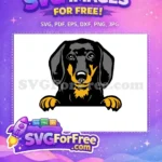 Free Black Tan Free Dachshund Dog Peeker Vector Free SVG - Instant Download