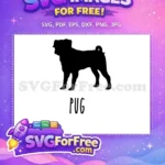 Free Cute Black Pug Free Loyal Pet Design Dog Quotes Free SVG - Instant Download