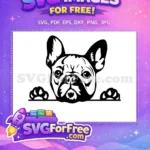 Free Black French Bulldog Free Peeking Paws Puppy Dog Quotes Free SVG - Instant Download