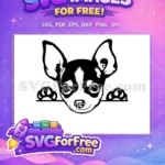 Free Cute Chihuahua Free Peeking Paws Dog Quotes Free SVG - Instant Download
