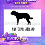 Free Black Silhouette Free Anatolian Shepherd Dog Quotes Free SVG - Instant Download
