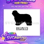 Free Shaggy Bergamasco Free Black Silhouette Dog Quotes Free SVG - Instant Download