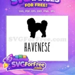 Free Black Havanese Silhouette Free Fluffy Puppy Dog Quotes Free SVG - Instant Download