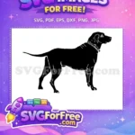 Free Black Dog Silhouette Free Patterned Collar Pet Art Free SVG - Instant Download