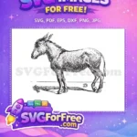 Free Majestic Donkey Outline Stencil Free Hand Drawn Rustic Donkey Free SVG - Instant Download