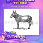 Free Smiling Donkey Outline Free Animated Movie Character Shrek Free SVG - Instant Download