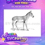 Free Detailed Donkey Outline Free Vintage Engraving Farm Animal Free SVG - Instant Download