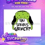 Free Grinch Hat Free You Serious Grinch Free SVG - Instant Download