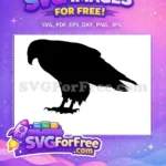Free Majestic Black Eagle Free Powerful Talons Sharp Beak Eagle Free SVG - Instant Download
