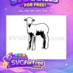 Free Happy Smiling Lamb Outline Free Cute Easter Baby Animal Free SVG - Instant Download
