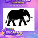 Free Walking Black Elephant Free Detailed African Design Jungle Wildlife Free SVG - Instant Download
