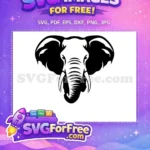 Free Black Elephant Free White Tusk Safari Animal Free SVG - Instant Download