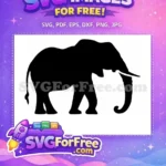 Free Majestic Black Elephant Free Detailed Outline Safari Free SVG - Instant Download