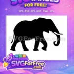 Free Detailed Elephant Free Animal Silhouette Wildlife Free SVG - Instant Download