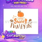 Free Orange Pumpkin Free Little Sweet Autumn Fall Shirt Free SVG - Instant Download