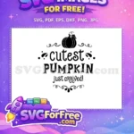 Free Black Pumpkin Free Baby Arrival Fall Shirt Free SVG - Instant Download