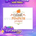Free Orange Pumpkin Free Cutest Arrived Quote Fall Free SVG - Instant Download