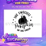 Free Black Pumpkin Free Sweetest Patch Fall Thanksgiving Free SVG - Instant Download