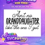 Free Script Bold Text Free Granddaughter Saying Family Quote Free SVG - Instant Download
