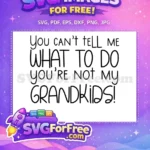 Free Grandkids Funny Free Black Script Family Quote Free SVG - Instant Download